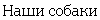 ���� ������